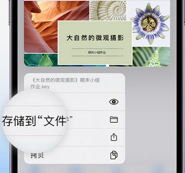 涉县apple维修中心分享iPhone文件应用中存储和找到下载文件