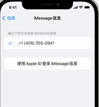 涉县apple维修iPhone上无法正常发送iMessage信息 