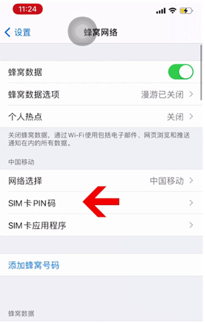 涉县苹果14维修网分享如何给iPhone14的SIM卡设置密码 