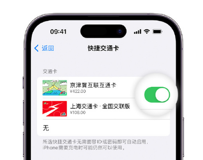 涉县apple维修点分享iPhone上更换Apple Pay快捷交通卡手绘卡面 