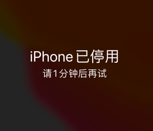 涉县苹果手机维修分享:iPhone 显示“不可用”或“已停用”怎么办？还能保留数据吗？ 