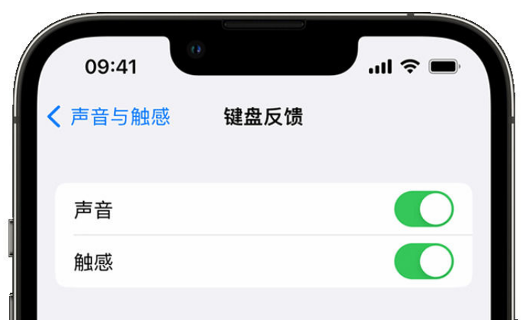 涉县苹果手机维修分享iPhone 14触感键盘使用方法 