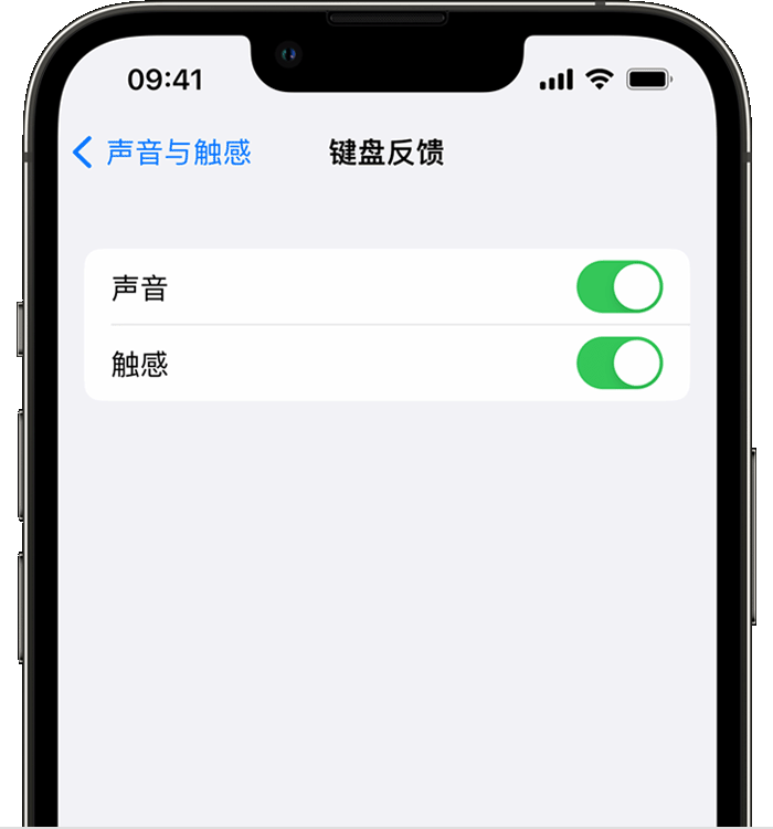 涉县苹果14维修店分享如何在 iPhone 14 机型中使用触感键盘 