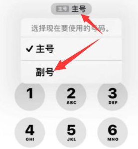 涉县苹果14维修店分享iPhone 14 Pro Max使用副卡打电话的方法 