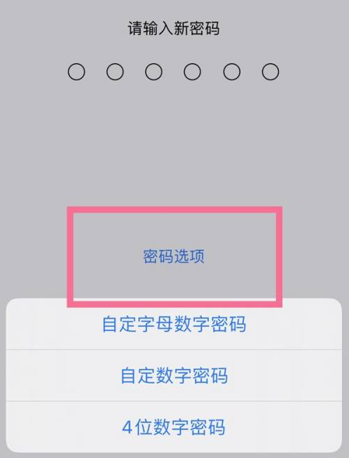 涉县苹果14维修分享iPhone 14plus设置密码的方法 