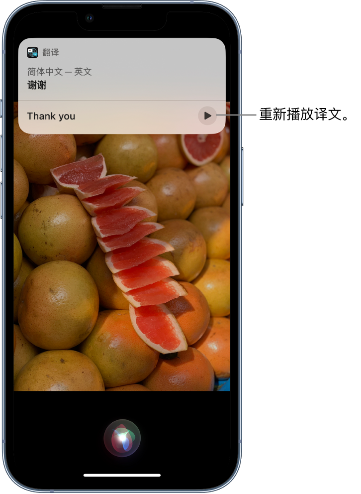 涉县苹果14维修分享 iPhone 14 机型中使用 Siri：了解 Siri 能帮你做什么 