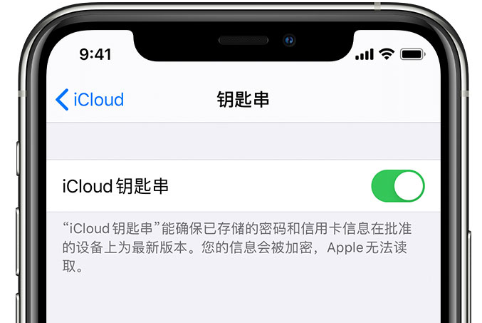 涉县苹果手机维修分享在 iPhone 上开启 iCloud 钥匙串之后会储存哪些信息 