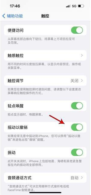 涉县苹果手机维修分享iPhone手机如何设置摇一摇删除文字 