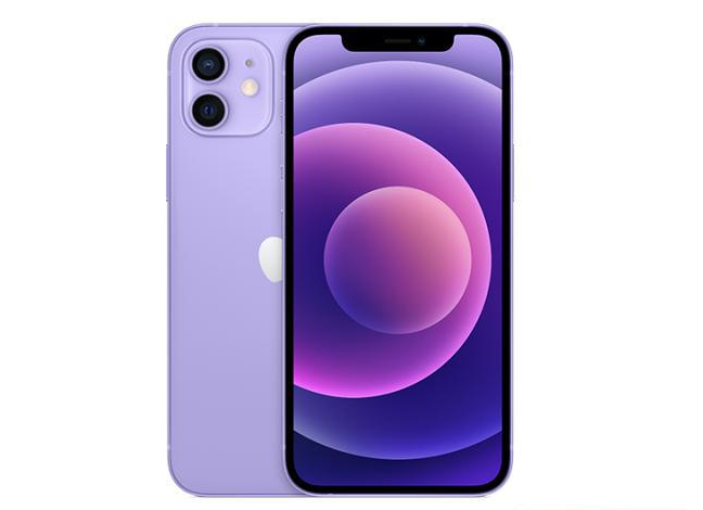 涉县苹果手机维修分享现阶段要不要入手紫色版iPhone12 