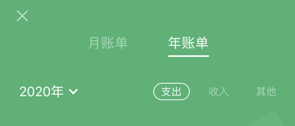 涉县苹果手机维修分享如何在 iPhone 上查看支付宝和微信年支出账单 