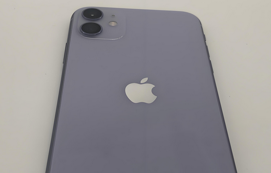 涉县苹果11系统维修分享iPhone11手机系统崩溃无法开机如何解决 